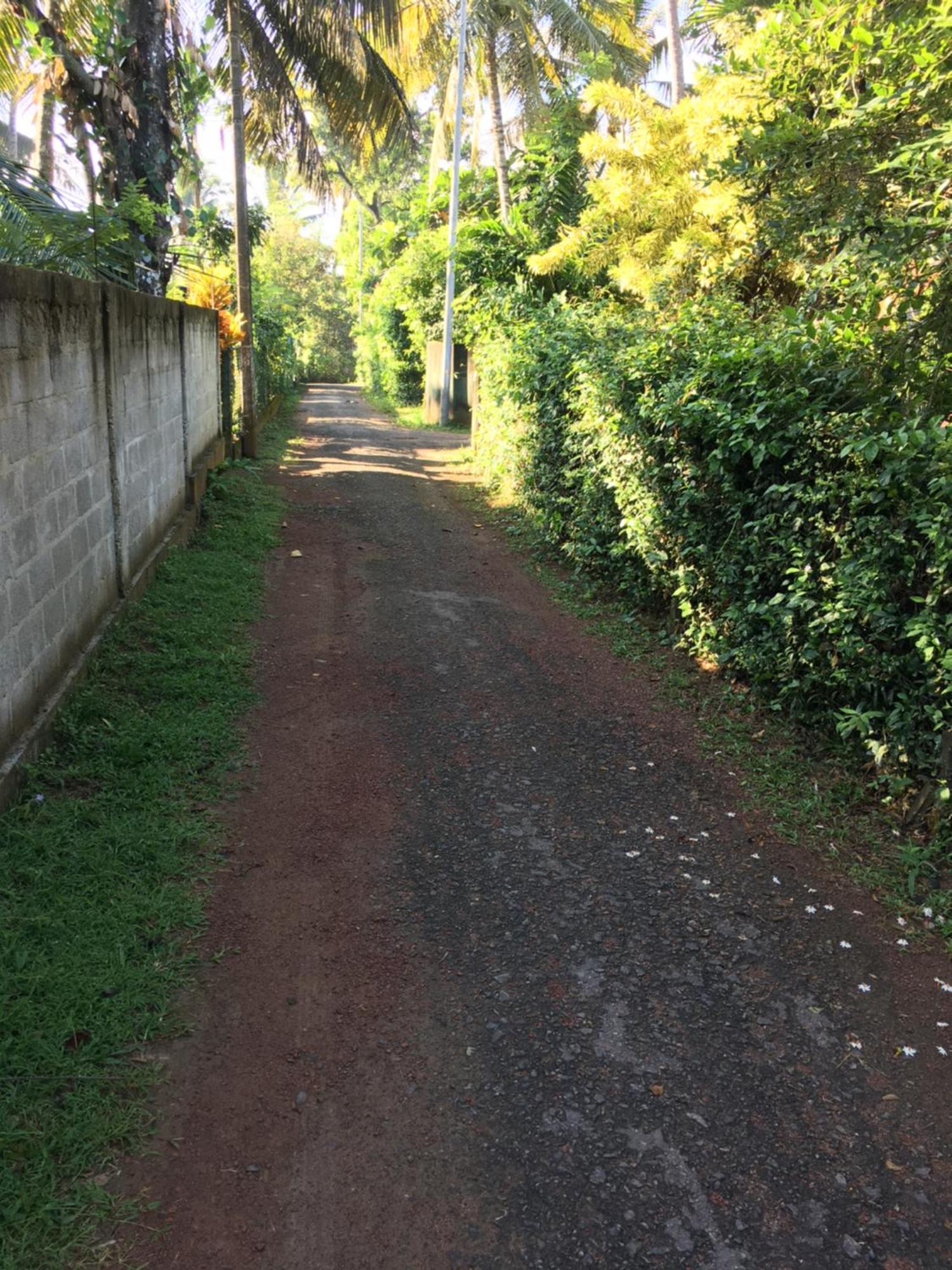 Bosadi Homestay Katunayaka Exteriér fotografie